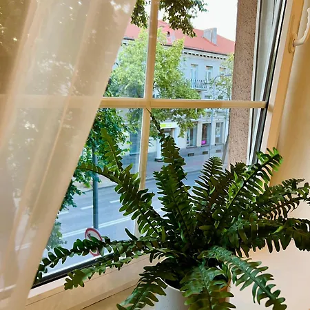 Manto Appartement